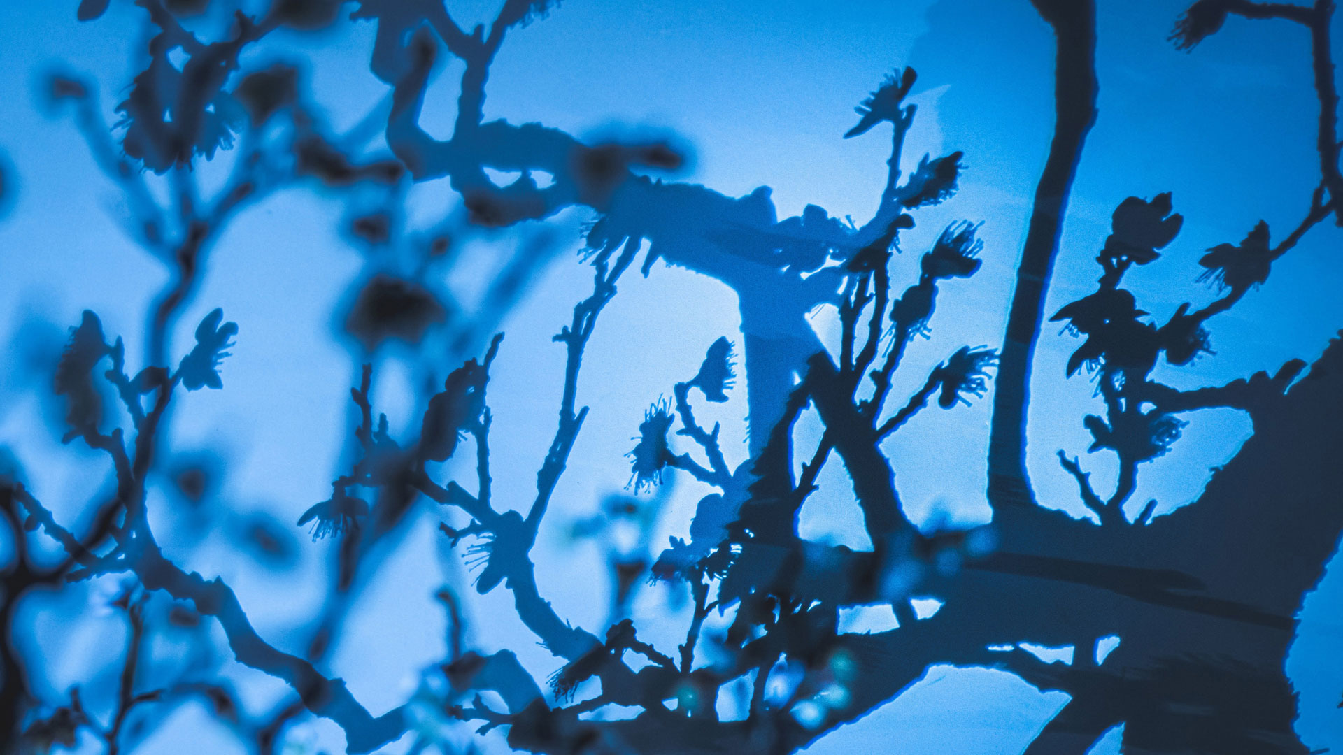 rend_diamond_.165_1920x1080