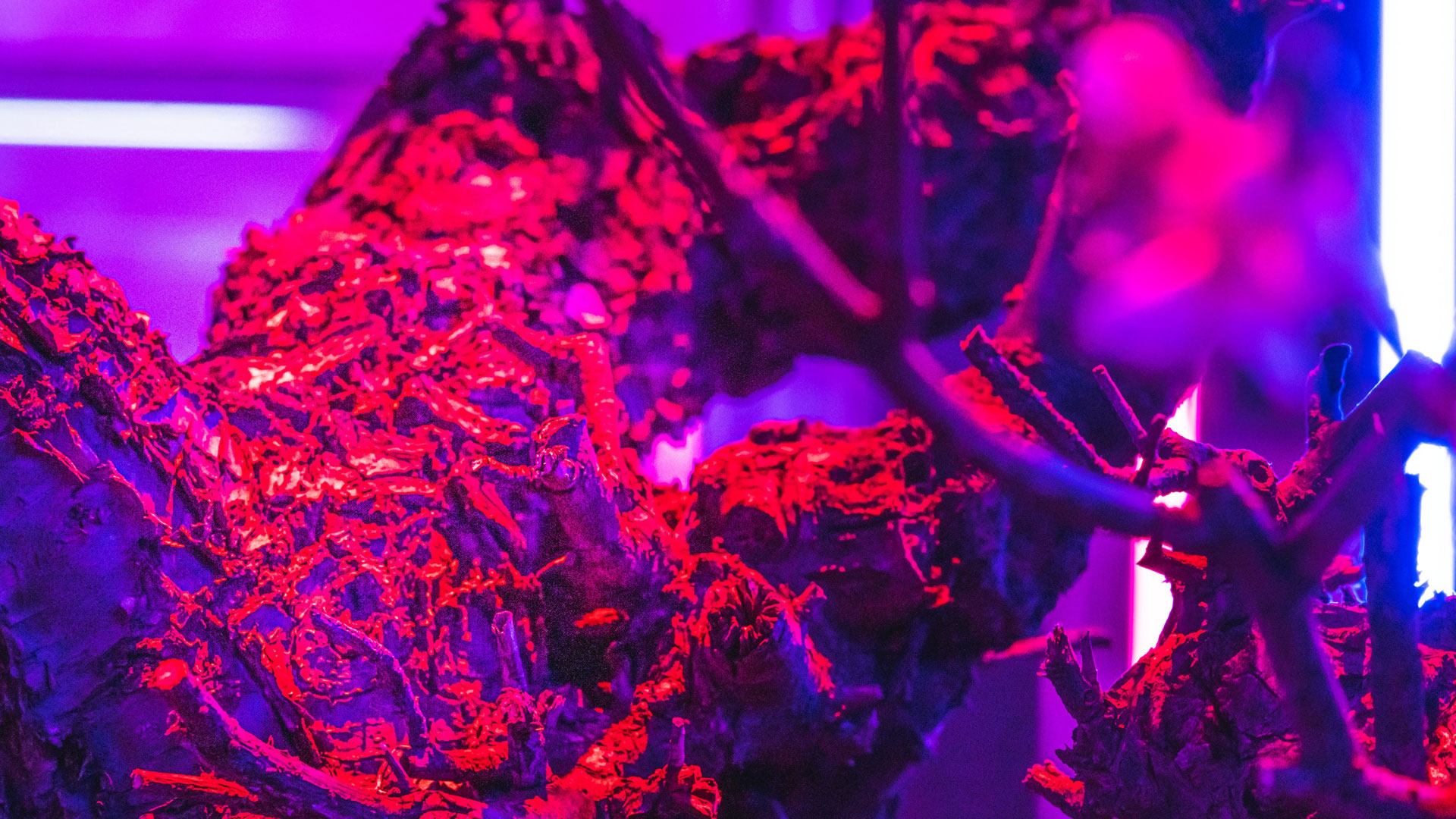 KOETABI_03_front_FHD