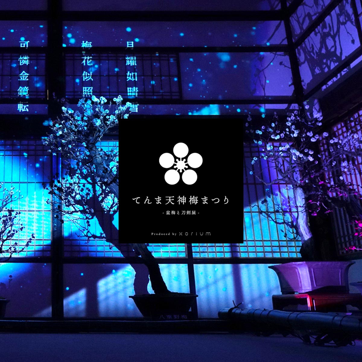 Zi_01_main_1600x1600